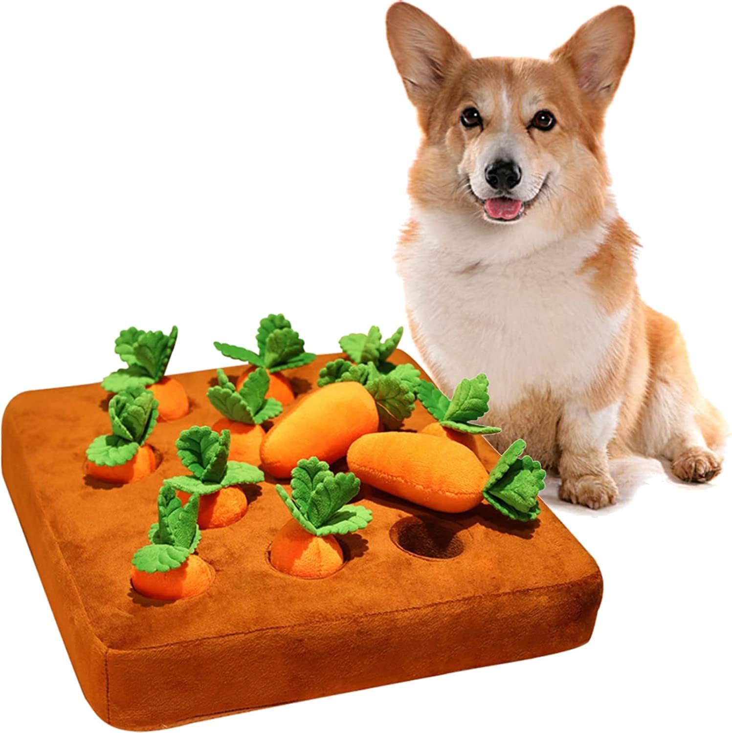 pathside Carrot Farm Dog Toys Including 12 Carrots Dog