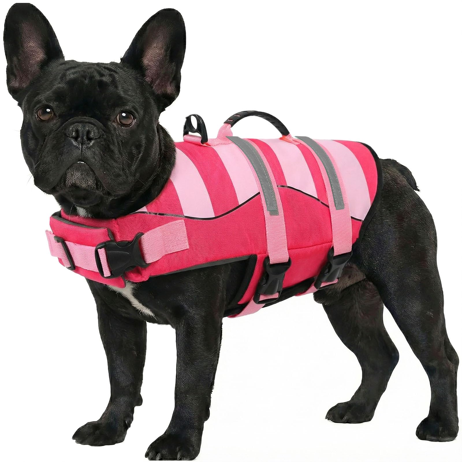 ASENKU Giubbotto Salvataggio per Cane, Salvagente per Cani Taglia Piccola XS,Galleggiante per Cani ad Alta Visibilità con Maniglia per Sicurezza in Acqua, Spiaggia e Barca