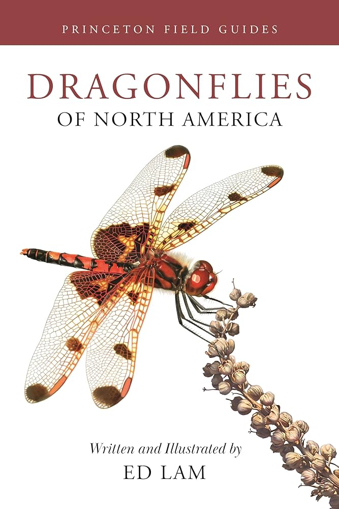 Dragonflies of North America (Princeton Field Guides): Lam, Ed Dragonflies of North America (Princeton Field Guides): Lam, Ed