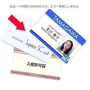 エストラボ　ルミクス ICカード 2枚（48000発+38500発）セット エストラボ ルミクス ICカード 2枚（48000発+38500発）セット