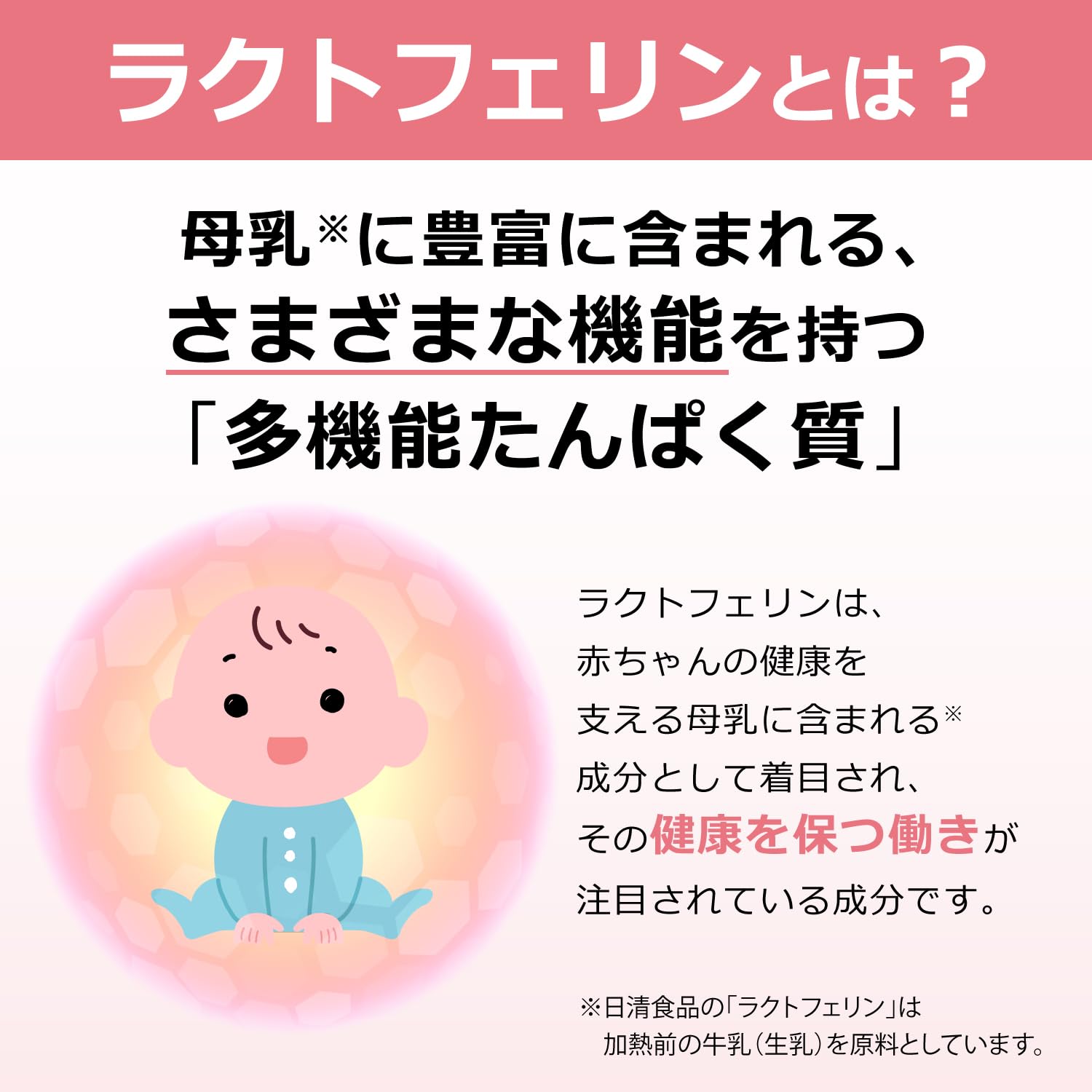 ナイスリムエッセンス ラクトフェリン 2個セット 日清食品 ラクトフェリン 日清 ナイスリムエッセンス 93粒 31日分