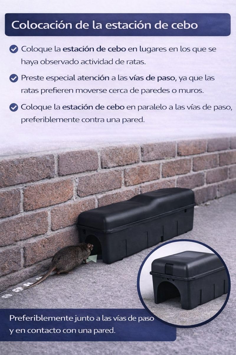 Set de trampas para ratas – 2× caja de cebo para ratas & 2× trampa de impacto | Control seguro de ratas para casa, sótano y jardín | Ayuda rápida para problemas de ratas | sin veneno para ratas