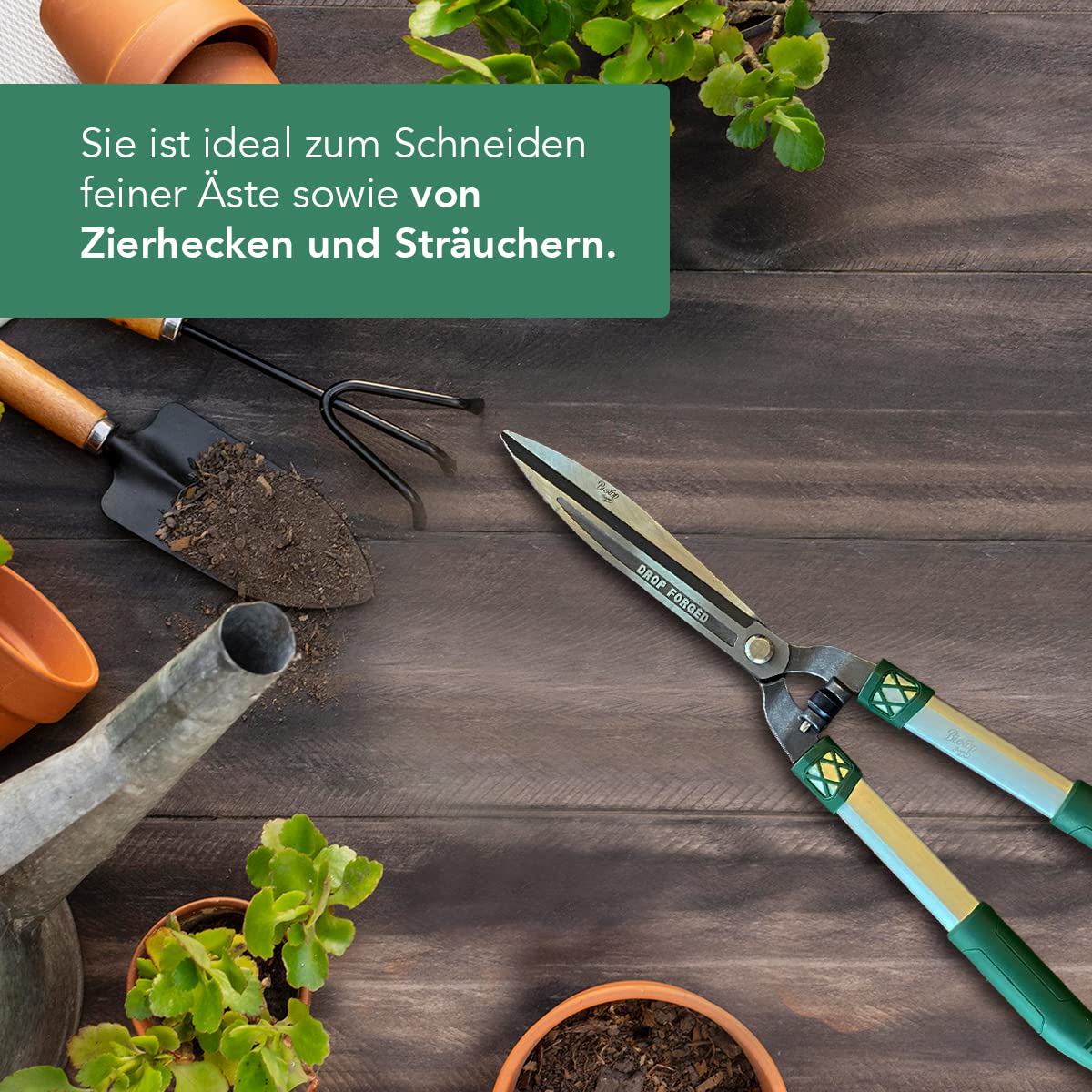 Beschneidschere für Details - Professionelles Gartenwerkzeug für Heckenschere, ideal für Pflanzen, Blumen, Garten und Gemüsegarten - max. 6 mm Schnitt mit Stoßdämpfern - Biotop