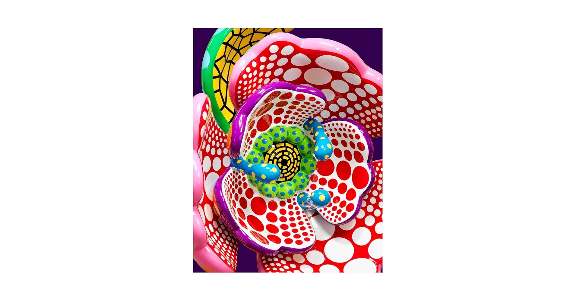 桑山忠明: IN PURSUIT OF LUCIDITY Amazon.co.jp: Tadaaki Kuwayama: In Pursuit of Lucidity 桑山