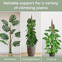 Vista 6 de Paquete de 2 postes de musgo flexibles de 48 pulgadas, soporte para plantas Monstera trepadoras de interior - Estacas para trepadoras en maceta