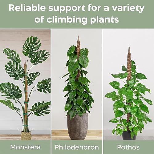 Miniatura 6 de Paquete de 2 postes de musgo flexibles de 48 pulgadas, soporte para plantas Monstera trepadoras de interior - Estacas para trepadoras en maceta