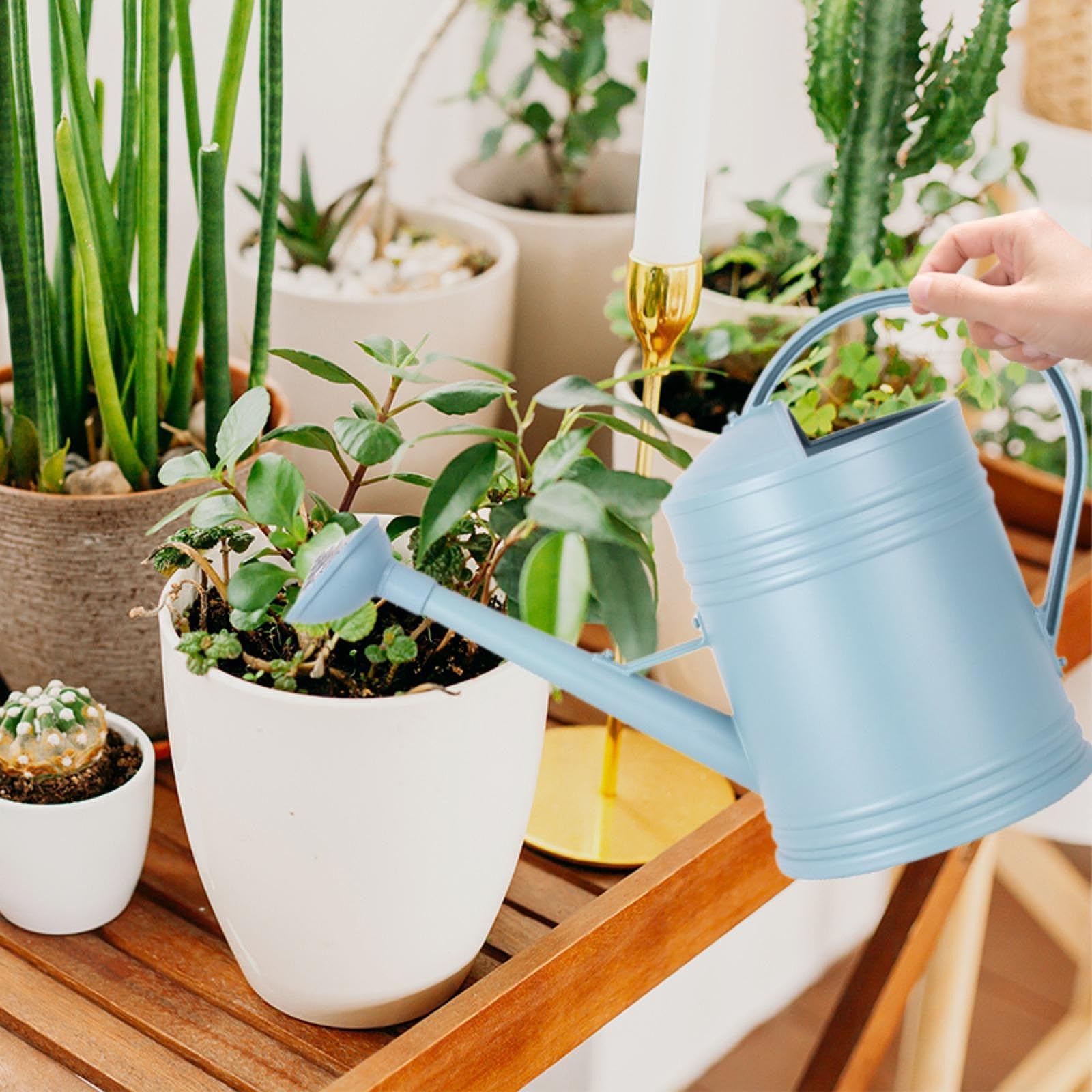 Sharplace 4 Liter Gießkanne für Haus & Garten, Kunststoff-Gartengießkanne mit abnehmbarem Sprühkopf, Blumengießkanne ideal für die Bewässerung von Blumen, Pflanzen, Bäumen im Freien, Blau