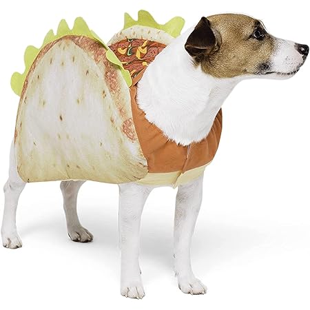 taco suit jacket