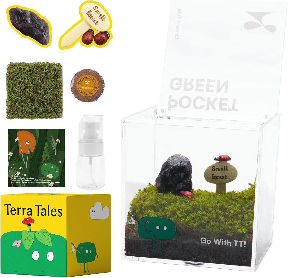 Uncommon Goods 'Make Your Own Terrarium' DIY Craft Kit for Adults & Teens