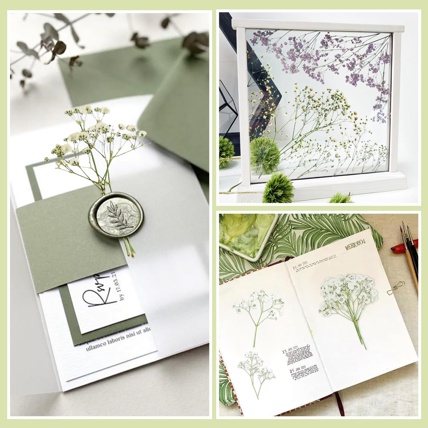 100 Pezzi Gypsophila Essiccata Bianco - Nebbiolina Secca per Decorazioni, Fiori Secchi Decorativi Piccoli per DIY e Resina - Schleierkraut Getrocknet