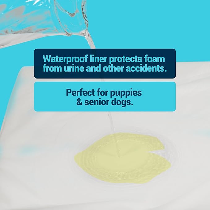 Cama Ortopédica para Perro Grande 127x102cm con Funda Lavable miniatura 3