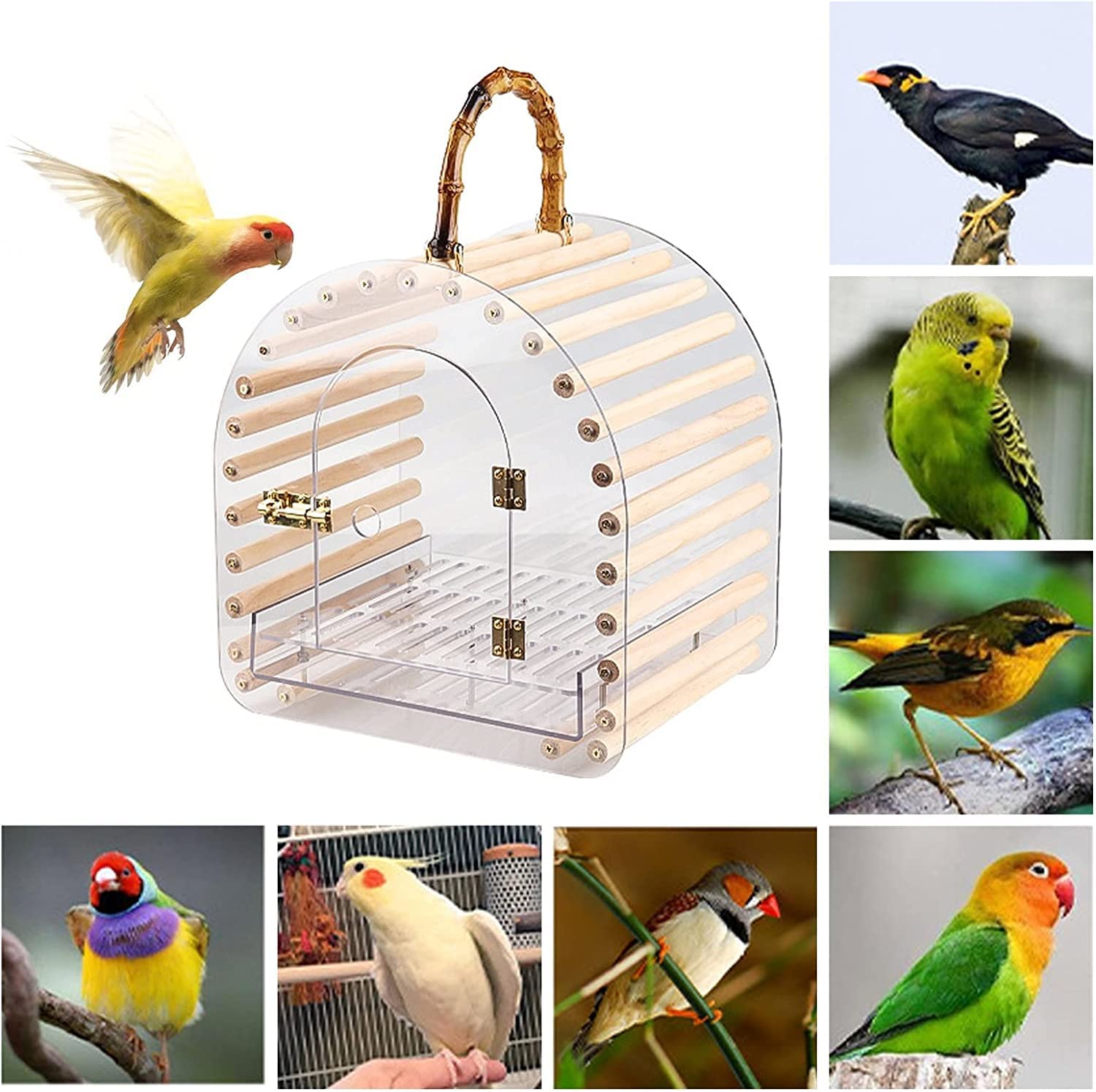 Jaula para pájaros, Jaula para pájaros, jaulas para pájaros, transportines Sencillos y duraderos, Jaula portátil Transparente, Estuche de Transporte para Mascotas pequeñas, Creativo