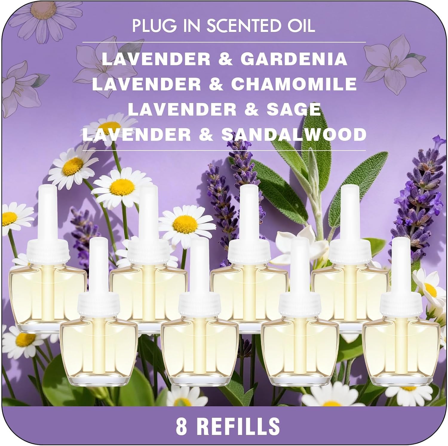 Plug In Refills Air Freshener, Black Currant, Cashmere Blanket, Hot Chocolate, Warm Fireplace, for Home and Bathroom 7.92 Fl Oz, 12 Count, Compatible with Air Wick & Glade, Not Include Glade Plus