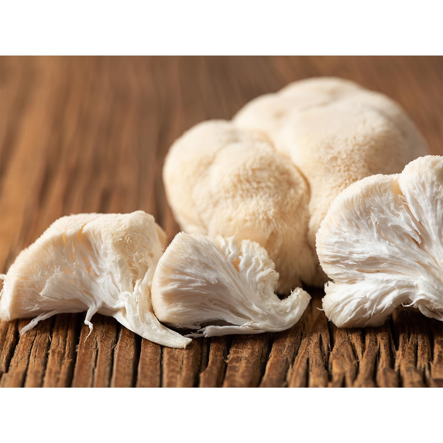 Hawlik Pilzbrut - Kit de cultivo de hongos melena de león – Cultivo orgánico de hongos Hericium erinaceus – Hongos melena de león para cultivar usted mismo