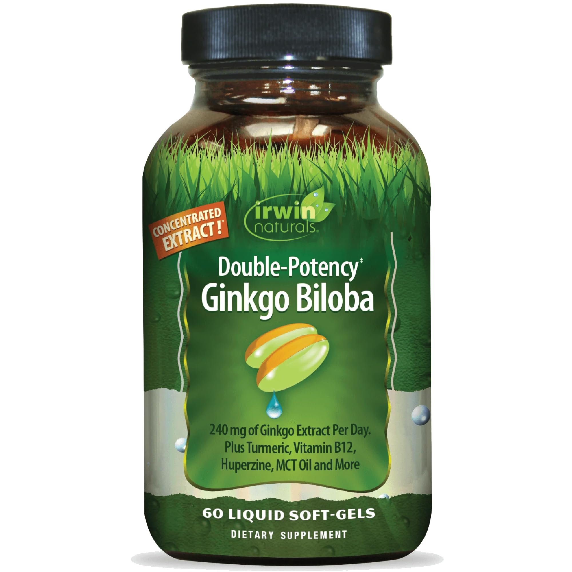 Double-Potency Ginkgo Biloba 240mg Extra Strength Brain Health Supplement - Enhance Memory, Mental Focus, Alertness, Concentration & Herbal Energy Booster - 60 Liquid Softgels