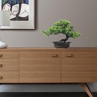 Vista 5 de Árbol bonsái de enebro artificial para decorar interiores para casa u oficina