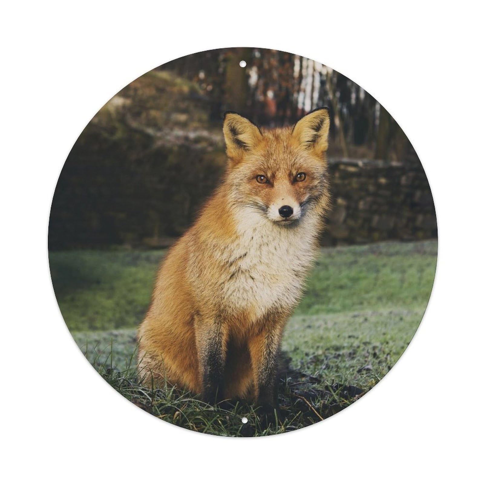 Red Fox Wildlife Forest Animal Classic Vintage Metal Tin Sign