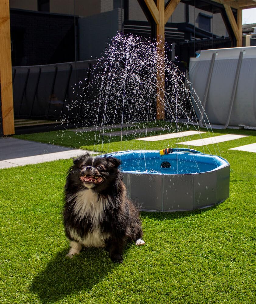 Piscine Chien - Piscine rafraîchissante Sprinkle Bleu et Gris foncé - Jets d'eau intégrés - raccord pour Tuyau d'arrosage - Fond antidérapant - sans Pompe - 120 x 30 cm - Flamingo