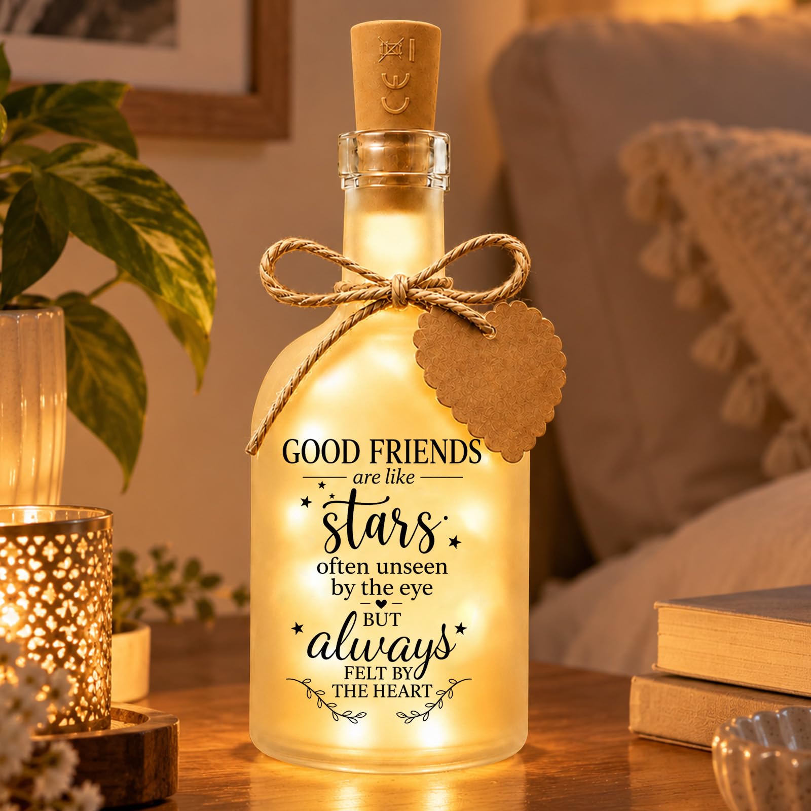 Friend Gifts for Women, Friendship Birthday Gift, Frosted Bottle Light
