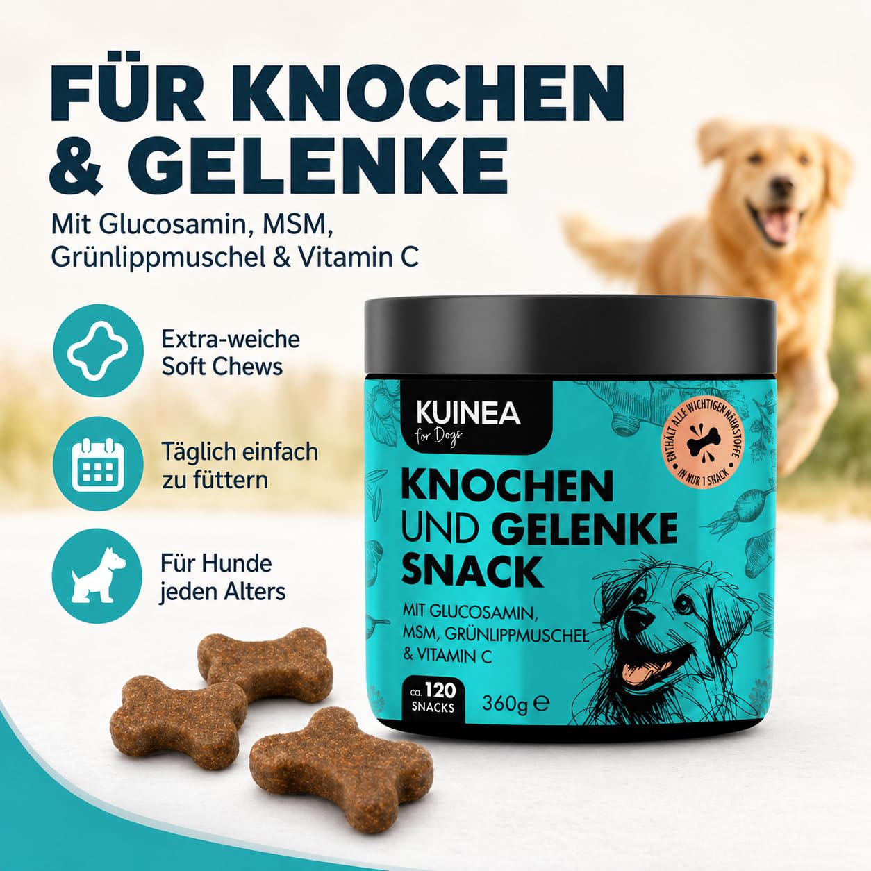 KUINEA® Hochkonzentrierte Gelenktabletten für Hunde als Leckerli – 120 Soft Chews (360g) – Grünlippmuschel Hund, Glucosamin, MSM & Vitamin C – Knochen & Gelenke – Getreide- & zuckerfrei, laborgeprüft