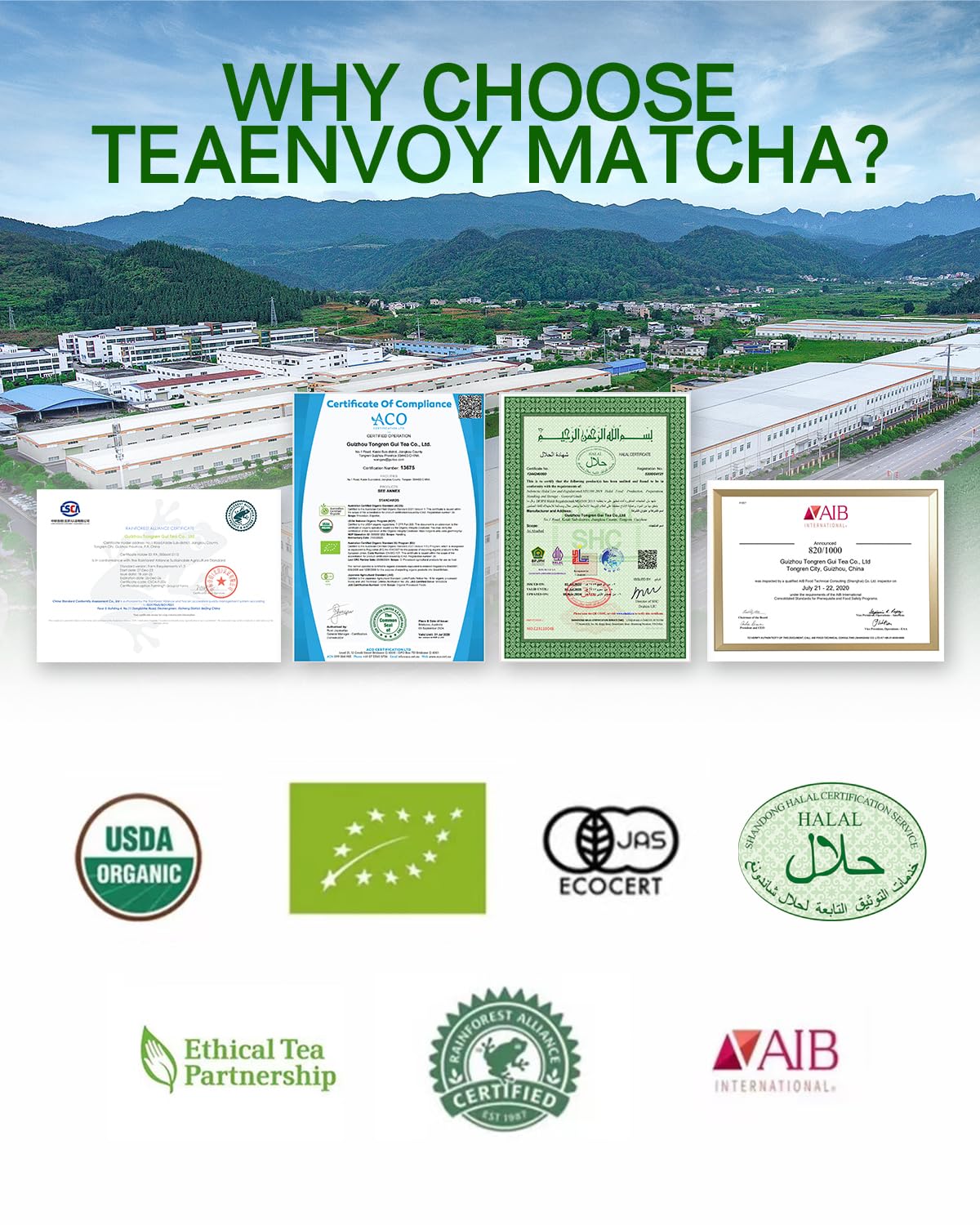 TEAENVOY Matcha Organic Culinary Grade - Sugar-Free Daily Matcha Green Tea Powder USDA AIB Certified - Matcha for — view 6