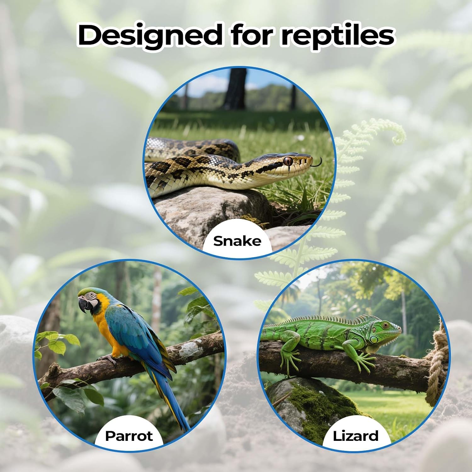 2 Pack Snake Climbing Rings for Ball Python & Corn Snake,Reptile Enrichment Toys for Snake,Ball Python Tank Decor,Reptile Tank Accessories for Bearded Dragon,Chameleon, Iguana, Gecko, Lizard (Green)