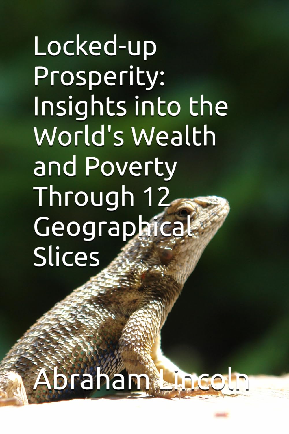 Locked-up Prosperity: Insights into the World's Wealth and Poverty Through 12 Geographical Slices: 9 (The Metaphors of Geography)