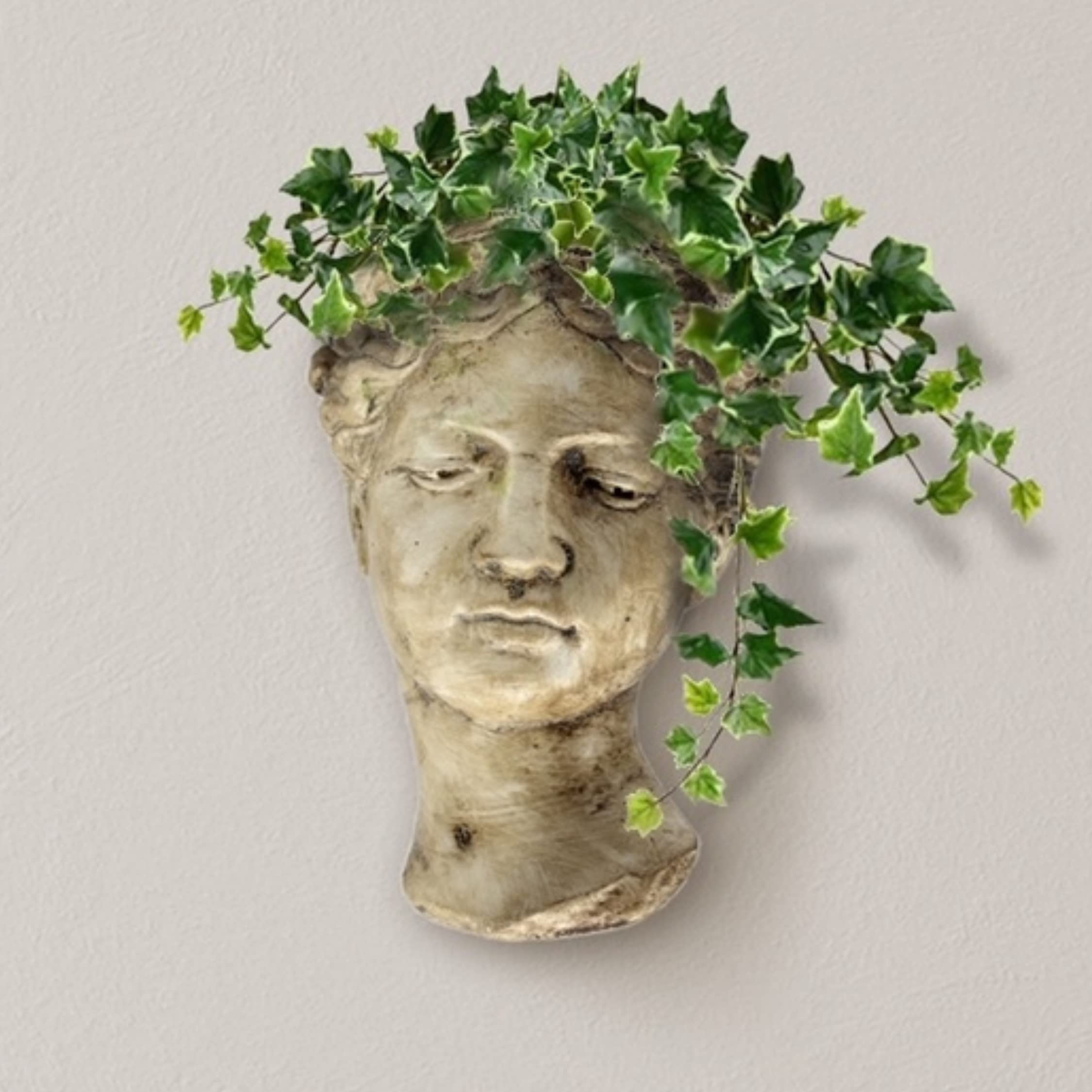 Quirky Boutique Wall Mounted Head Planter, Face Wall Planter, Unusual Face Plant Pots, Face Vase, Succulent Cactus Planter, Suitable for Indoor and Outdoor use