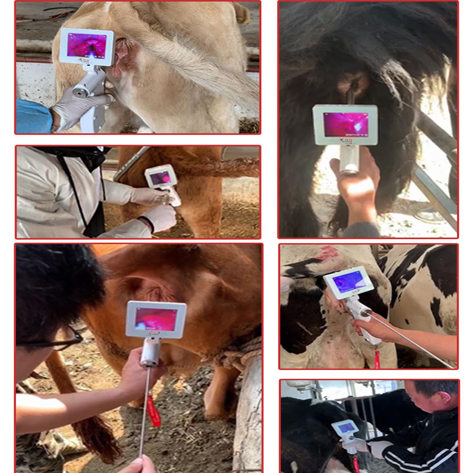Kit di inseminazione artificiale per mucche e bovini, forniture per allevamento veterinario, pistola AI con schermo girevole a 360°, attrezzatura agricola essenziale per l'allevamento del bestiame