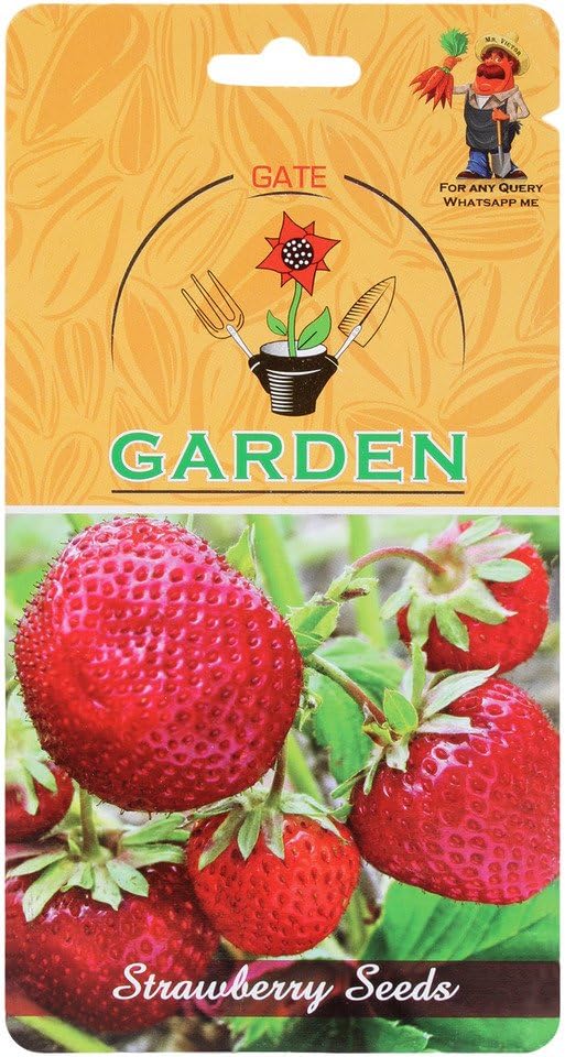 Strawberry Fruit Seeds by Gate Garden