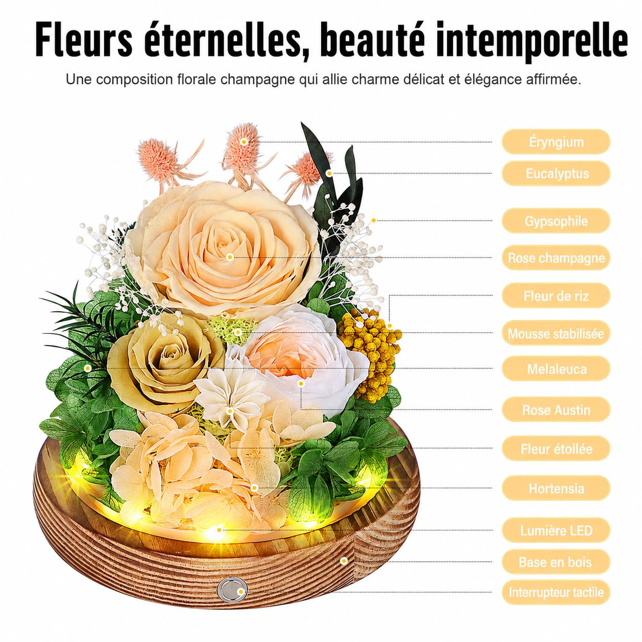 Rose Eternelle sous Cloche avec LED, Fleur Eternelle Cadeau, Boite Rose Eternelle, Cadeau pour Femme, Copine, Amie, Mere, Grand Mere, pour St-Valentin, Anniversaire, Fete des Meres (Champagne)