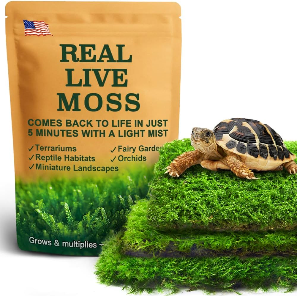 Live Moss Variety Pack – 3-Pack Mixed Mosses (Each 3.5″ x 7″) – Real Sheet Moss for Terrariums, Bonsai, Reptile Tanks, Succulents & DIY Plant Crafts, Living Moss for Terrarium, Indoor planters