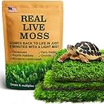 Live Moss Variety Pack – 3-Pack Mixed Mosses (Each 3.5