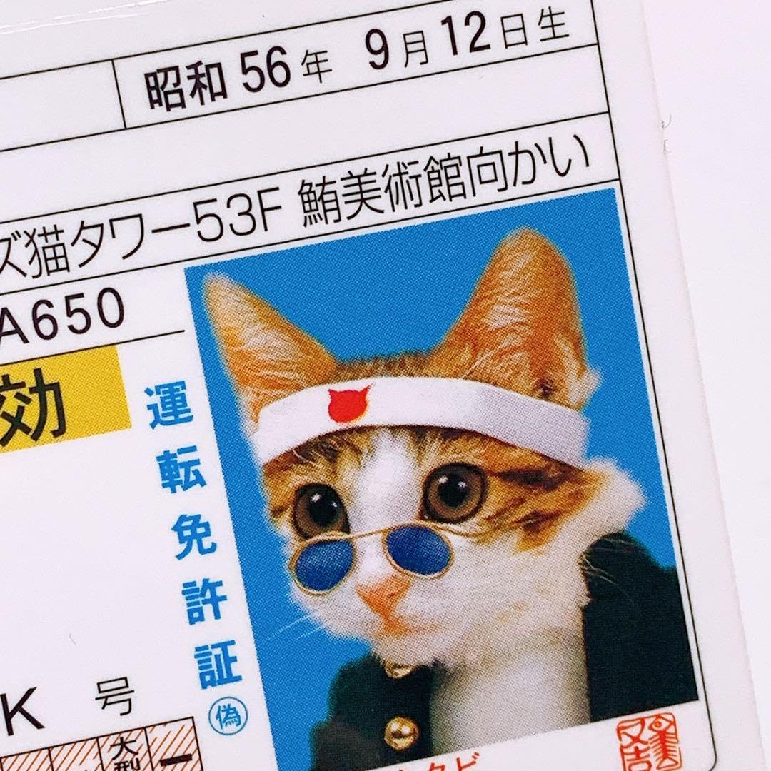 なめ猫　免許証　25周年記念　限定 Amazon.co.jp: なめ猫 免許証 25周年記念 限定 : ペット用品