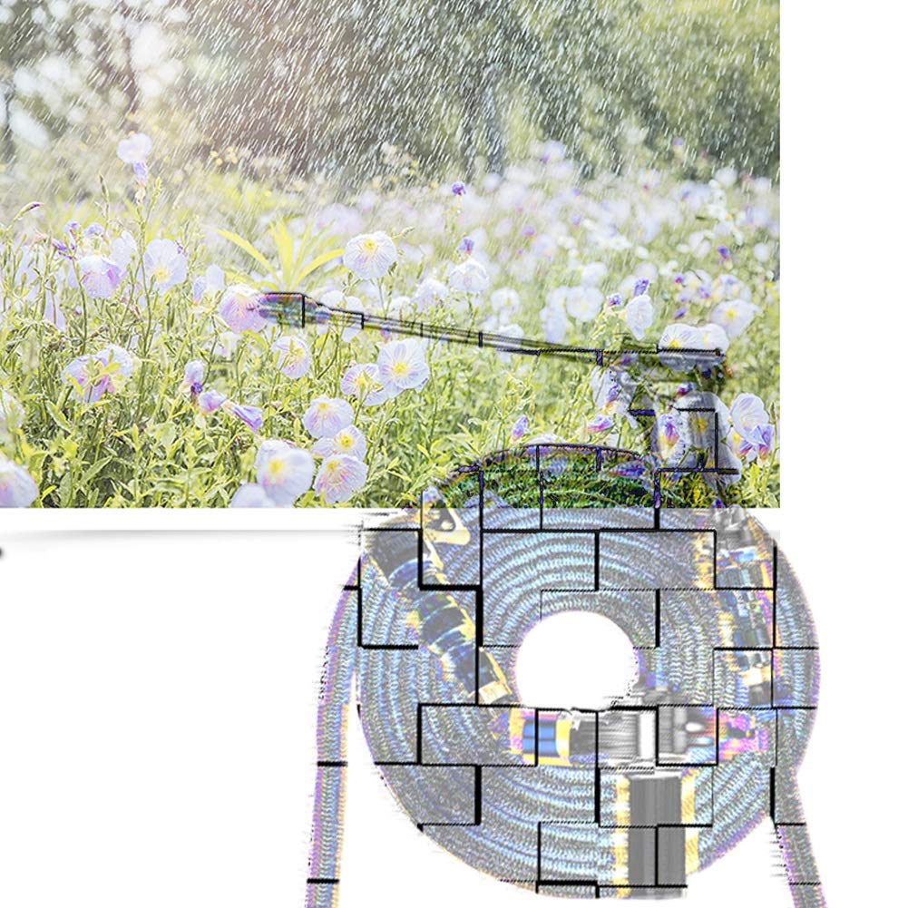 Pistola a spruzzo regolabile per irrigazione di fiori da giardino, pistola ad acqua da giardinaggio, set di pistola ad acqua a spruzzo (2,5 m completo)