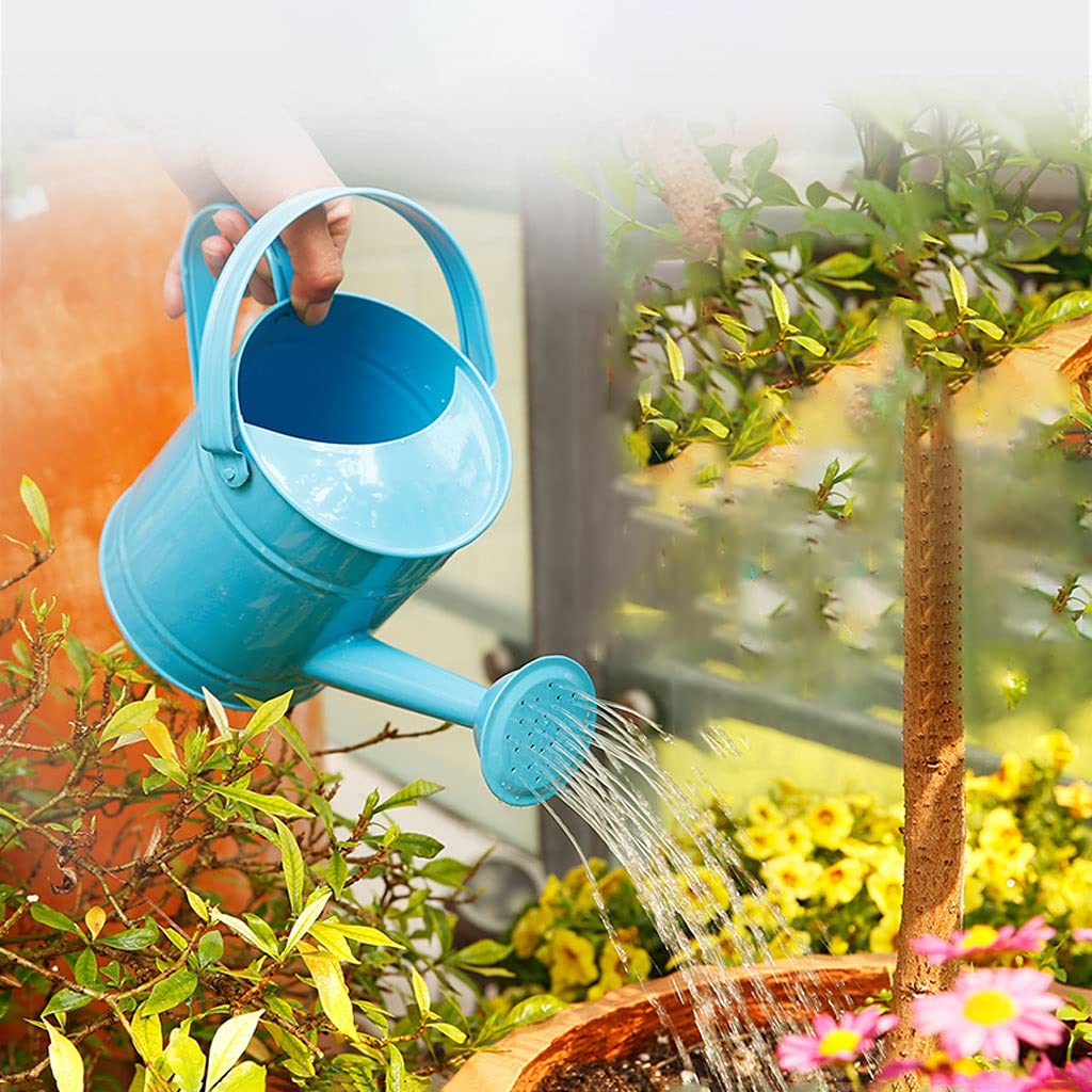 Regadera Riego Puede Lamento de Hierro liviano Acero de Acero regado de regadera, Mango Superior y Acentos de Cobre Azul Verde Azul Regar Plantas pequeñas (Color : Blue)