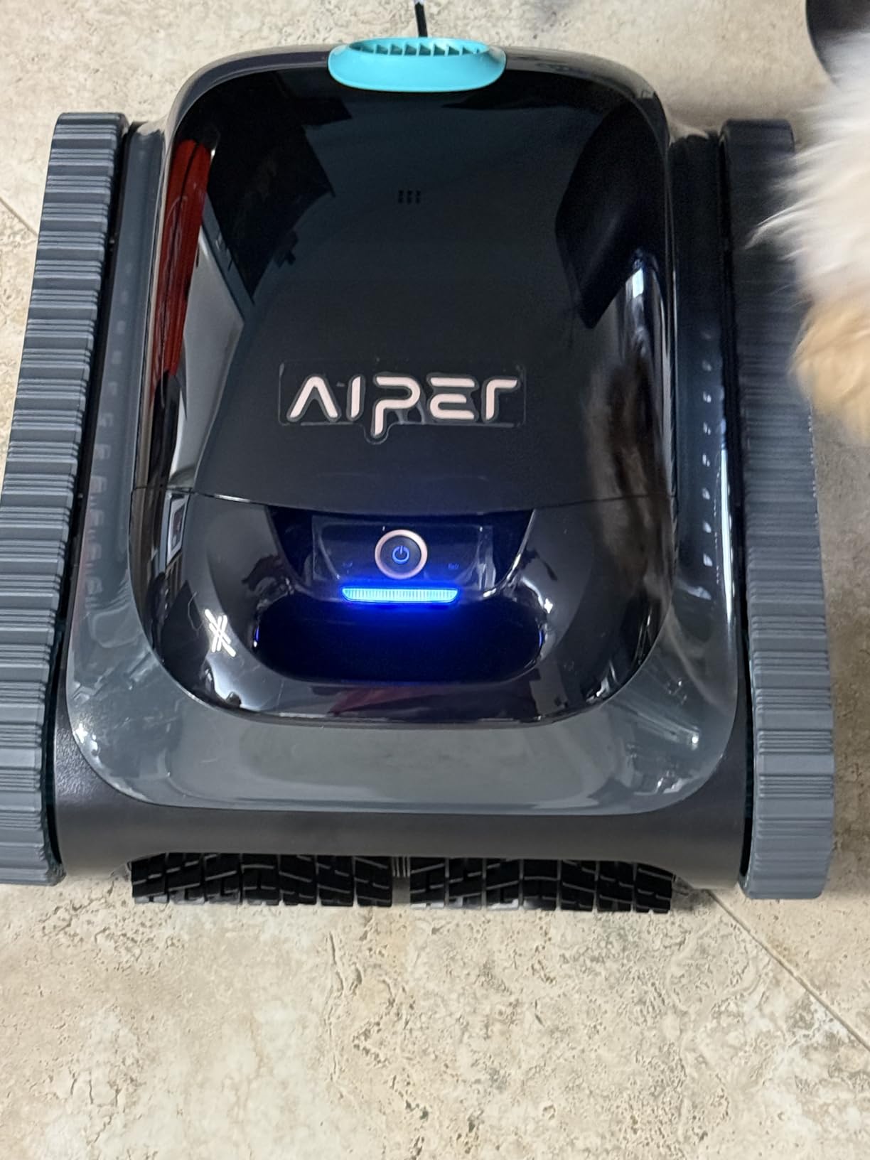 Aiper Scuba S1 wall and waterline cleaning for inground pools