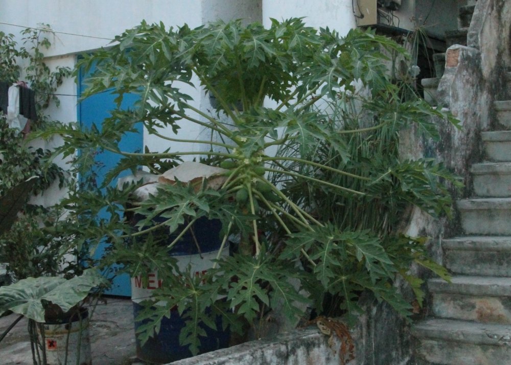 View 7