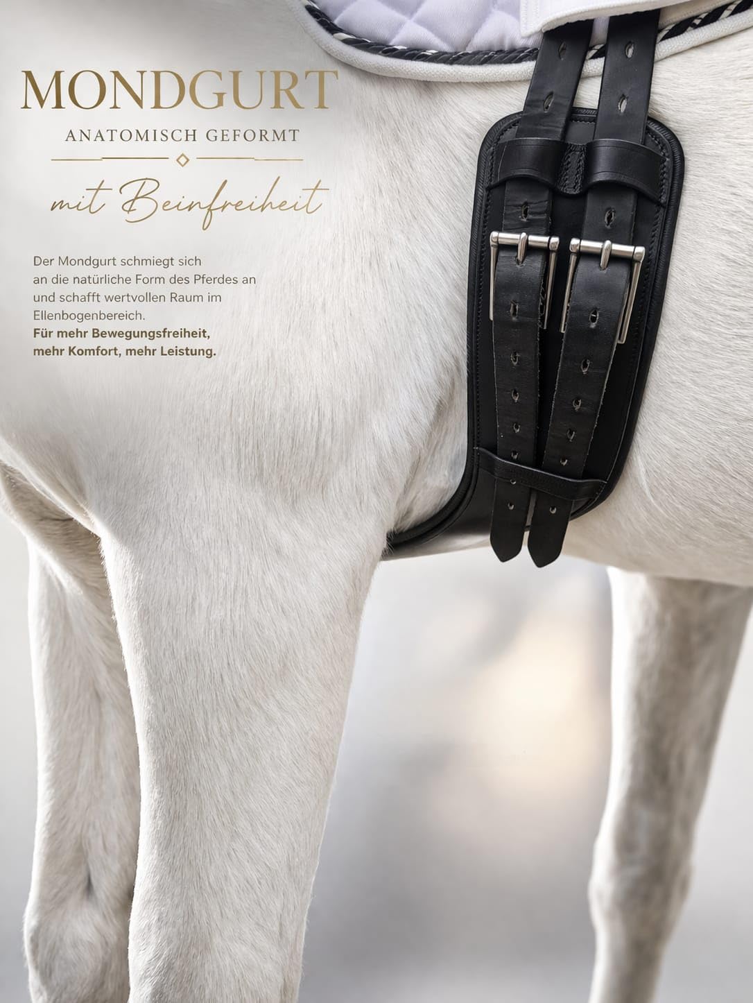 Leder Sattelgurt Soft Mondgurt ergonomisch Kurzgurt Ledersattelgurt 45 55 65 cm Tysons (65 cm)