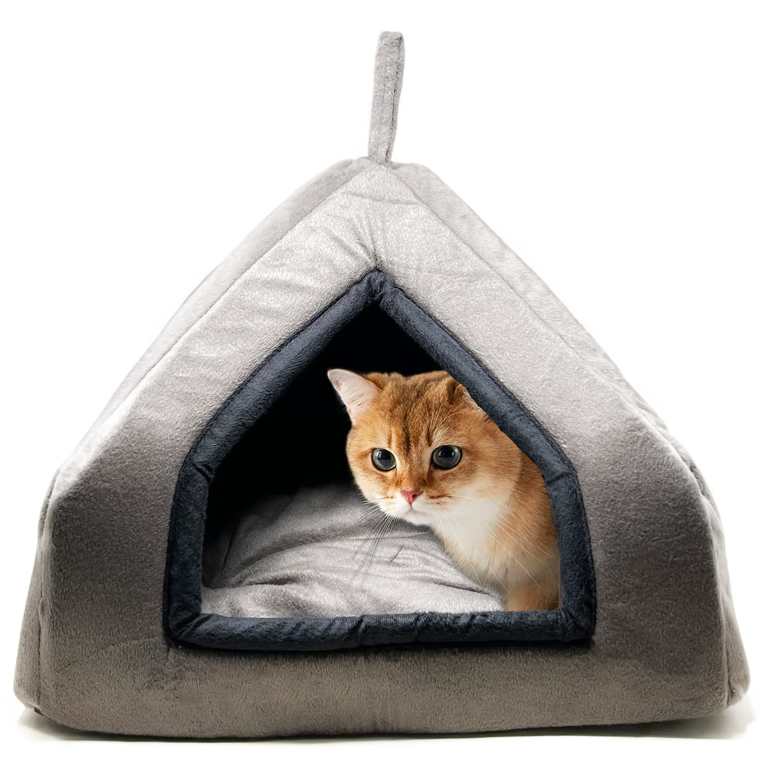 MidWest Homes for PetsPremium Soft Velvet Fabric Bed Cats Kittens & Suitable Dog Puppies House Length-48 Cm * Width-48 Cm * Height-48 Cm (Small Size)