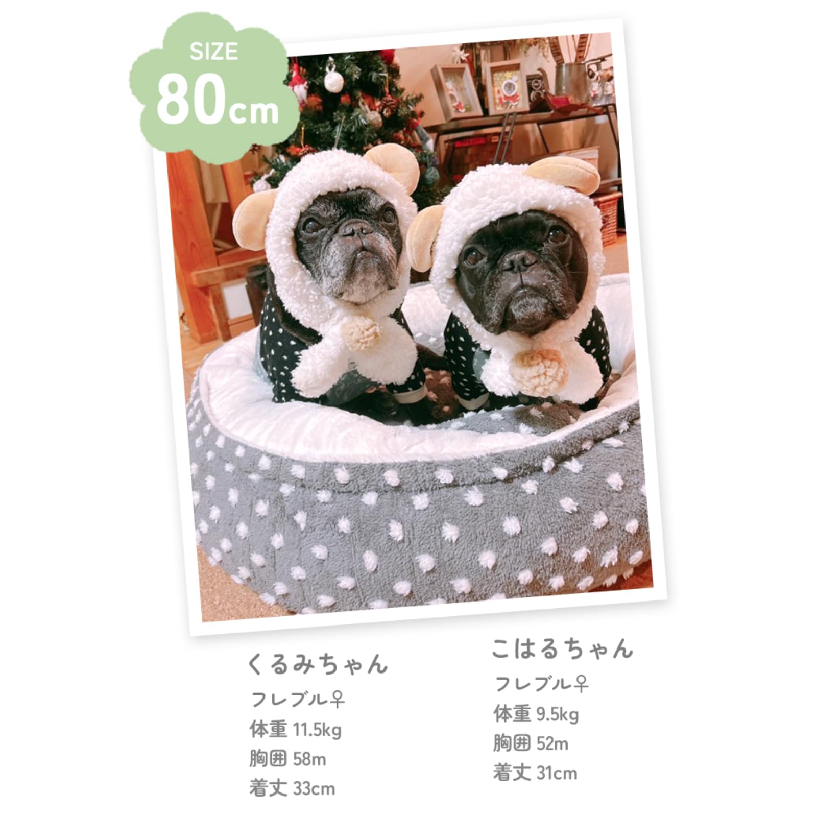 Amazon | ペットベッド 猫 犬 ベッド ふわふわ フレンチブルドック  