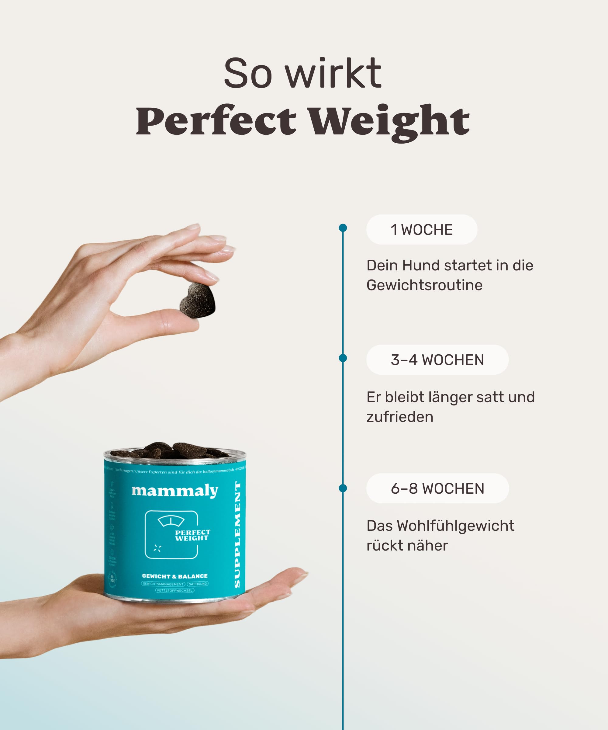 11-in-1 L-Carnitin & Cellulose Snack - Gewichtsmanagement für Hunde - Perfect Weight 120 Snacks (350g) von mammaly - Diätfutter kann beim Abnehmen Hund helfen - Futterzellulose zur Gewichtskontrolle