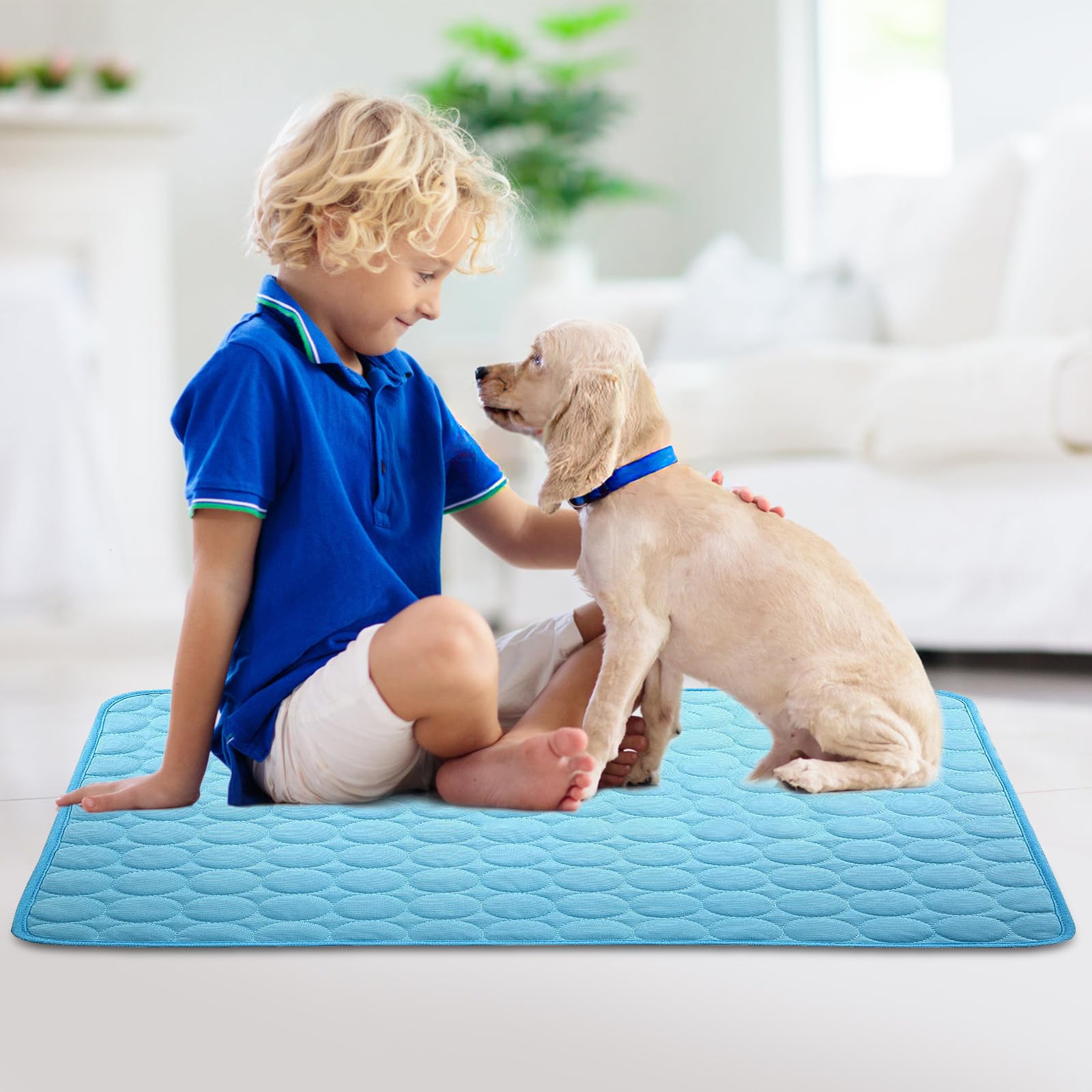 Tapis de Refroidissement pour Chien,Pet Cooling Ice Mat,Cats Dogs Cooling Bed,Tapis de Refroidissement Chien,Tapis Rafraîchissant pour Chiens et Chats Summer Pet Cooling Mat Indoor Outdoor (Bleu L)