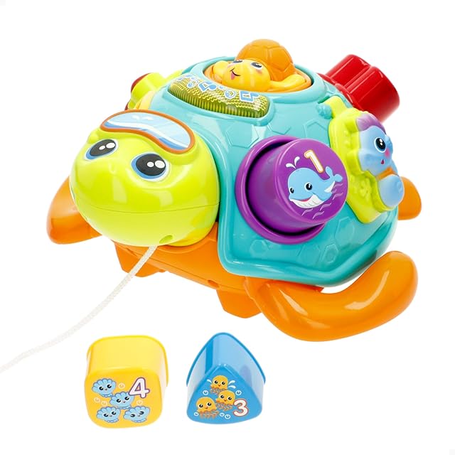 winfun Tortuga Musical Bilingüe con Sonidos, Melodías y Clasificación de Formas, Juguete Arrastre con Luces