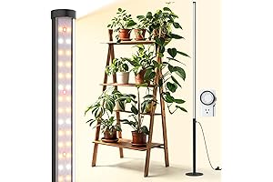 Barrina T10 Pro Standing Grow Light: Illuminate the Future of Houseplants