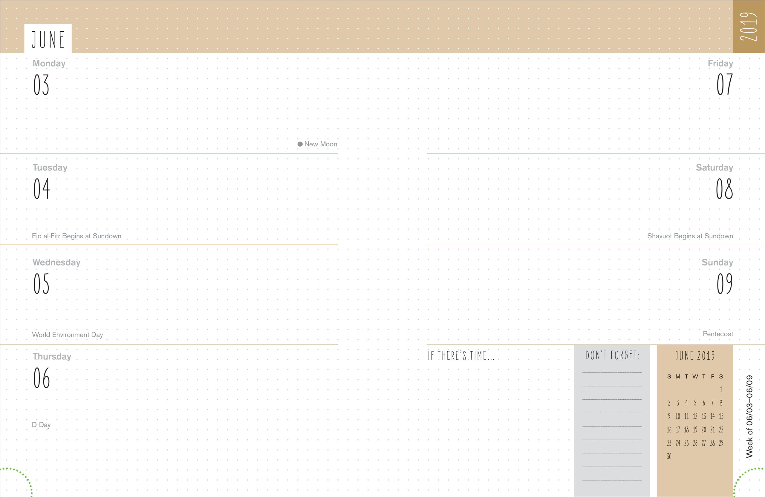 2019 Dot Matrix Weekly Planner, Multi-coloured - Image 2