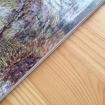 Mono Fontana CIRUELO レコード　初回限定プレス　新品未開封 Mono Fontana CIRUELO レコード 初回限定プレス 新品未開封