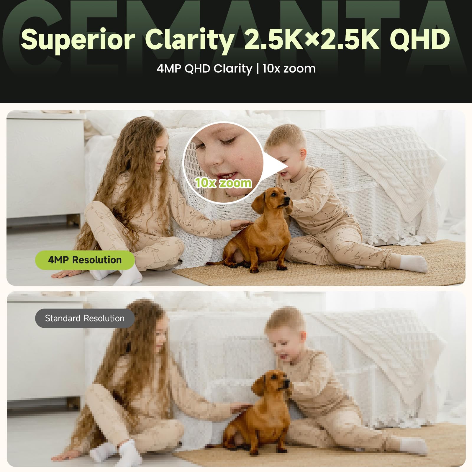 4MP Dual-Lens Pet Security Camera Gallery Image