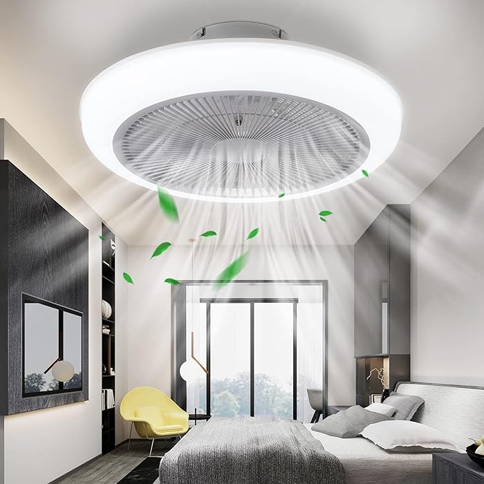 Buy Bladeless Ceiling Fan,Ceiling Fan with Lights Remote Control,18