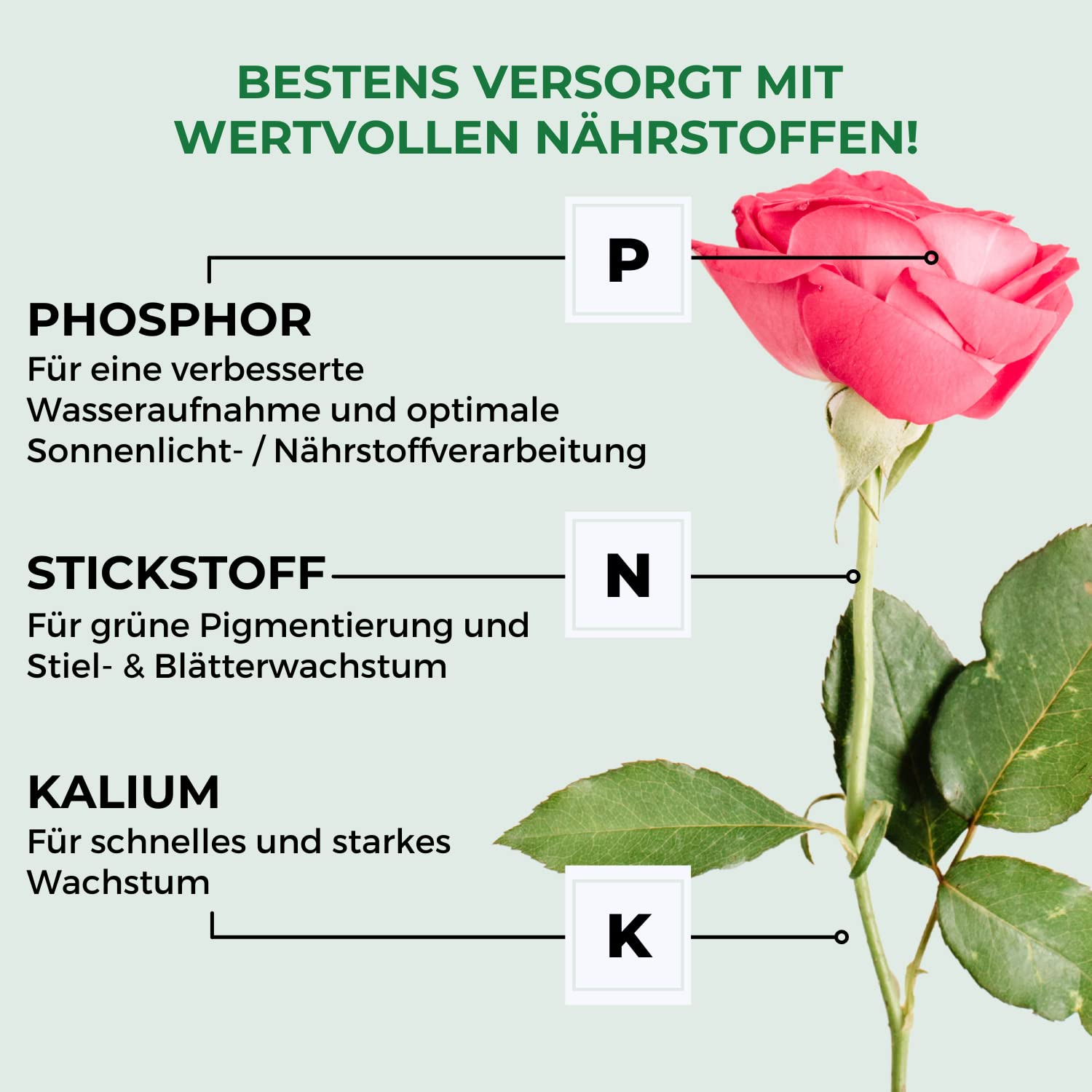 Allflor Blumenerde I 6 x 20 L I gebrauchsfertige Universalerde I hochwertige Erde im 20 Liter Beutel I Für alle Balkon- und Zimmerpflanzen geeignet I Enthält alle wichtigen Pflanzennährstoffe